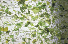 Uroboros  Textural and Specialty Sheet Glass - Clear with Green Fracture, Green Streamers - 24" x 24" x 1/8"(3mm) thick
