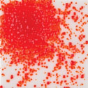 Uroboros Glass Frit - 171-96-F1 - Orange - 8.5 oz. jar