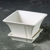 Duncan 21685 - case of 12