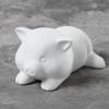 Duncan 28557 - case of 6