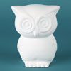 Duncan 31807 - case of 6