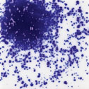 Uroboros Glass Frit - 424-96-F1 - Cobalt Blue - 8.5 oz. jar