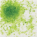 Uroboros Glass Frit - 5262-96-F1 - Moss Green - 8.5 oz. jar