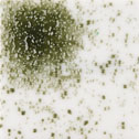 Uroboros Glass Frit - 5284-96-F1 - Olive Green - 8.5 oz. jar