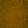 Coleman Decorating Color - CDC 4 - Yellow - 2 fluid oiz.