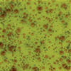 Mayco Jungle Gem - CG-717 - Pistachio -  4 fluid oz.