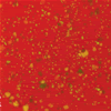 Mayco Jungle Gem - CG-756 - Firecracker -  4 fluid oz.