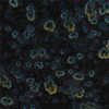 Mayco Jungle Gem - CG-786 - Obsidian -  4 fluid oz.