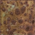 AMACO Crystaltex Glaze - CTL-32 - Chocolate Chip - 1 pint