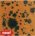 AMACO Crystaltex Glaze - CTL-40 - Forest - 1 pint