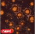 AMACO Crystaltex Glaze - CTL-47 - Tangerine Dream - 1 pint