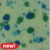 AMACO Crystaltex Glaze - CTL-49 - Azurite - 1 pint