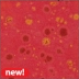 AMACO Crystaltex Glaze - CTL-52 - Watsonia Red - 1 pint