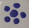 Willoughby's Enamel - E102 - Royal Sapphire Blue - 1 dram