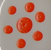 Willoughby's Enamel - E112 - Austro Red - 1 dram