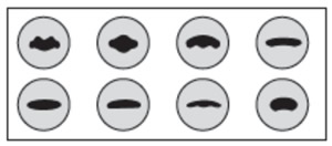 Scott Creek. 2" Handle Die Set