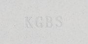Aardvark Clay's KGBS