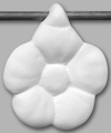 Mayco  MB-B16 - package of 12