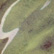 AMACO Opalescent Glaze - O-42 - Moss Green - 1 pint