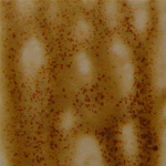 AMACO Pompeian Ash Glaze - PA-60 - Tan - 1 pint