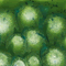 Mayco Crystalite - S-2715 - Spotted Kiwi - 1 pint