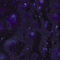 Mayco Crystalite - S-2716 - Celestial Blue -  4 fluid oz.