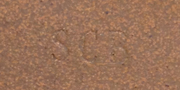 Aardvark Clay's SCB