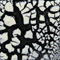 Mayco Specialty Glaze - SG-202 - White Cobblestone -  4 fluid oz.