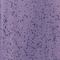 Mayco Stroke & Coat - SP-253 - Speckled Purple Haze -  2 oz.