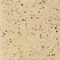 Mayco Stroke & Coat - SP-254 - Speckled Vanilla Dip -  2 oz.