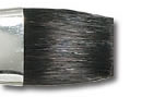 Duncan Discovery Brush - BR-545