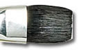 Duncan Discovery Brush - BR-558