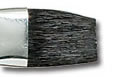 Duncan Discovery Brush - BR-559