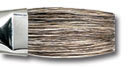 Duncan Discovery Brush - BR-593