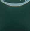 Duncan Cover-Coat - CC-174 - Kentucky Bluegrass -  2 fluid oz.