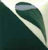 Duncan Concept Underglaze - CN-153 - Dark Blue Spruce -  2 fluid oz.