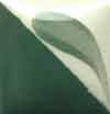 Duncan Concept Underglaze - CN-162 - Bright Wintergreen -  2 fluid oz.