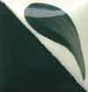 Duncan Concept Underglaze - CN-163 - Dark Wintergreen -  2 fluid oz.