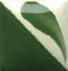 Duncan Concept Underglaze - CN-172 - Bright Kelp -  2 fluid oz.