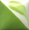 Duncan Concept Underglaze - CN-181 - Light Kiwi -  2 fluid oz.