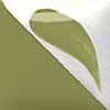 Duncan Concept Underglaze - CN-331 - Light Olive -  2 fluid oz.