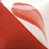 Duncan Concept Underglaze - CN-506 - Neon Coral -  2 fluid oz.