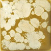 Duncan Crystal Glaze - CR-857 - Alpine Meadow - 1 pint