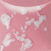 Duncan Crystal Glaze - CR-918 - Cherry Blossoms -  4 fluid oz.