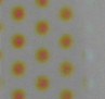Uroboros Color Sample - Dot 3 - 1" x 2"
