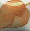 Duncan E-Z Stoke - EZ-011 - Sienna Brown - 1 fluid oz.