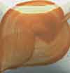 Duncan E-Z Stoke - EZ-048 - Mesa Clay - 1 fluid oz.