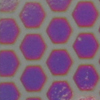 Uroboros Color Sample - Honeycomb - 1" x 2"