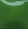Duncan Envision Glaze - IN-1058 - Clover -  4 fluid oz.