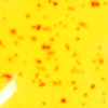 Duncan Envision Glaze - IN-1209 - Neon Yellow Sprinkles -  4 fluid oz.